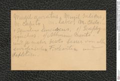 Nachlass Franz Steindachner, Visitenkarte von Grigore Antipa, Inv.Nr. 13.01, Seite 2